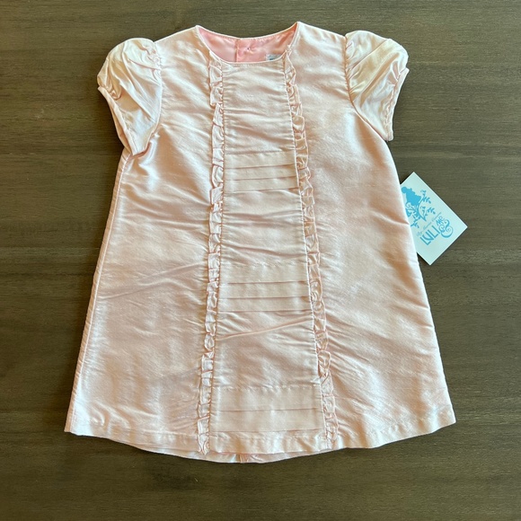 Luli & Me Other - New Luli & Me Baby Girl Pink Raw Silk Ruffle Dress 2T
